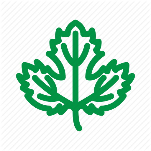 Beer, Brew, Brewing, Drink, Hop, Leaf, Plant Icon