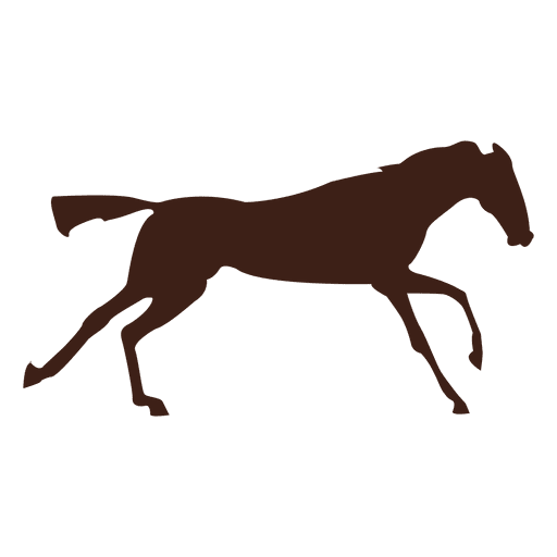 Horse Galloping Motion Sequence
