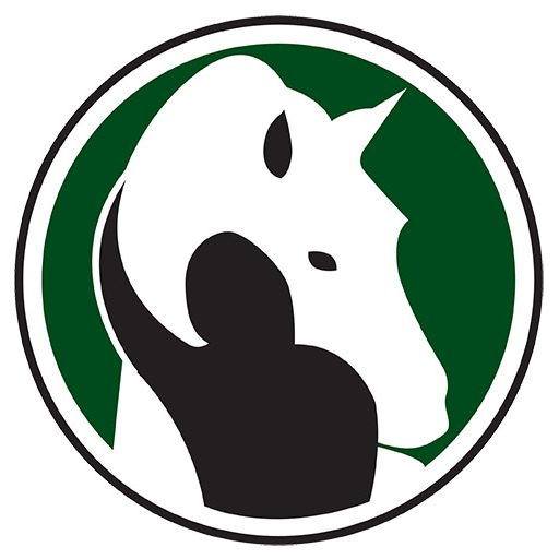 Horsewyse Riding School And Equine Learning Centre