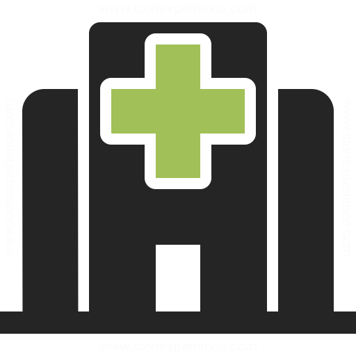 Hospital Icon Iconexperience
