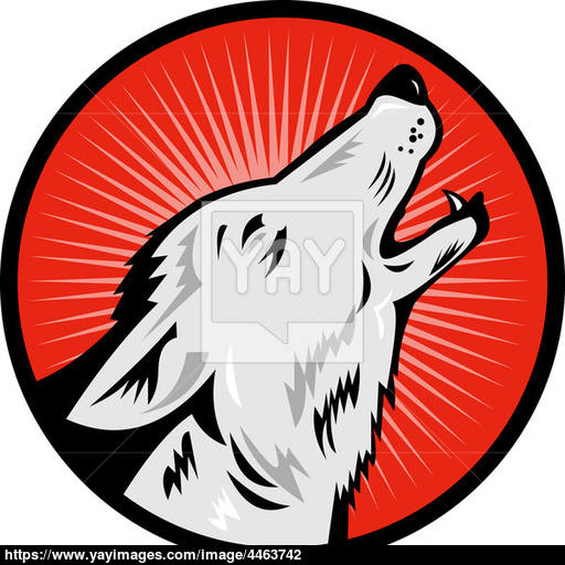 Wolf Howling Side View Image
