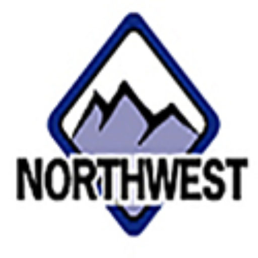 Cropped Nic Icon Northwest Instruments Controls Nic