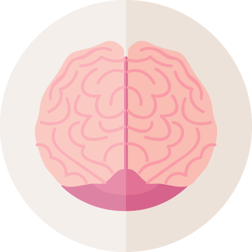 Human Body Png Icons And Graphics