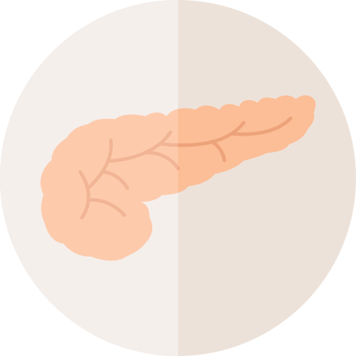Human Body Icon
