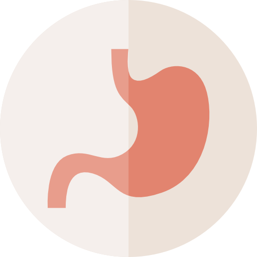Stomach Icon Human Body Freepik