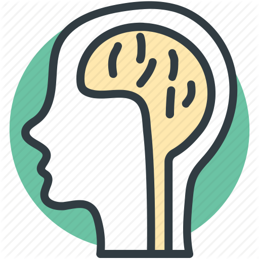 Brain Anatomy, Creative Mind, Human Brain, Human Head, Thinking Icon