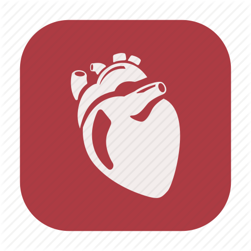 Endurance, Exercise, Fitness, Healthcare, Heart, Human Heart