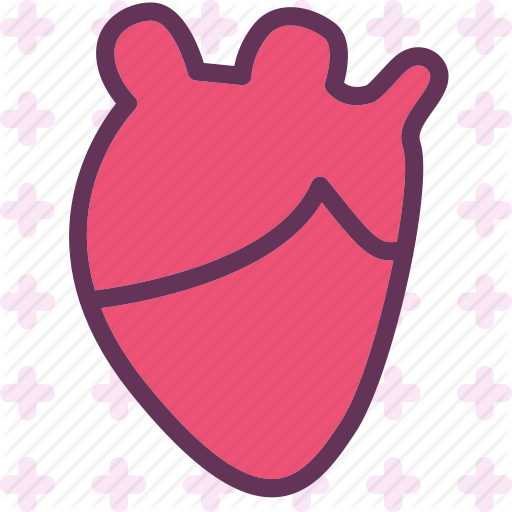Heart, Human, Love, Organ Icon