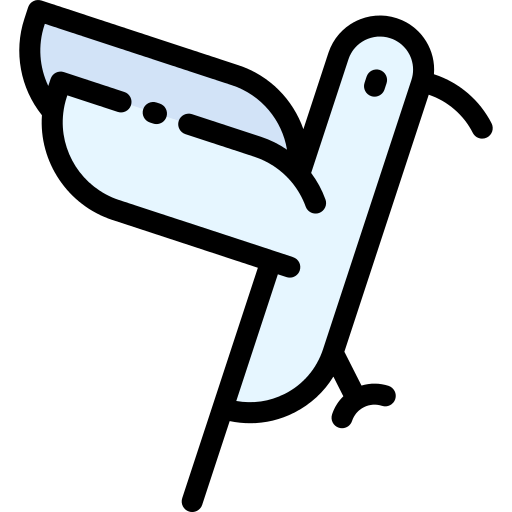 Hummingbird Png Icon