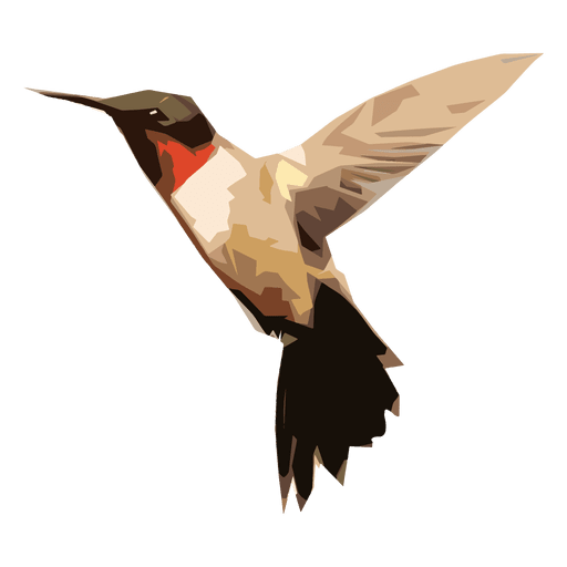 Hummingbird Illustration