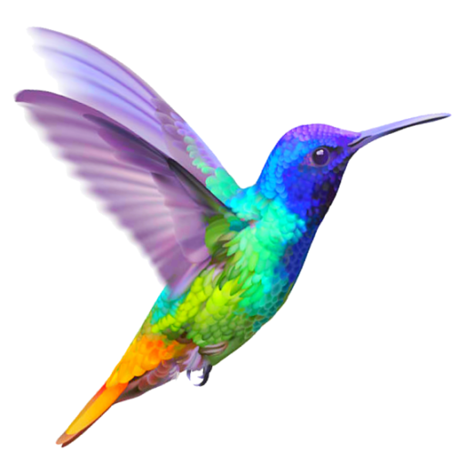 Cropped Hummingbird Icon Large Natural Revolution Shop