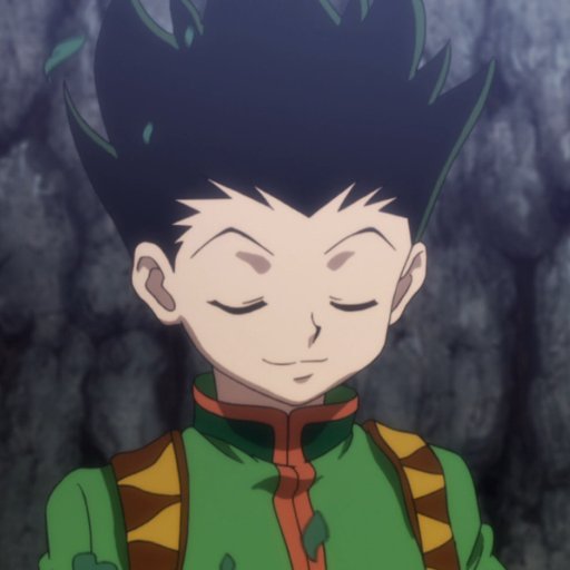 Hunter X Hunter Images