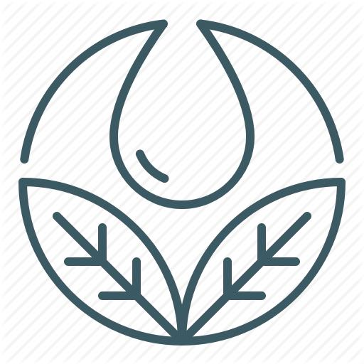 Hydration, Leaves, Spa, Water Icon