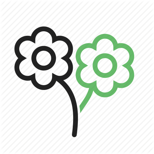 Beautiful, Flower, Flowers, Garden, Rose, Roses, Spring Icon