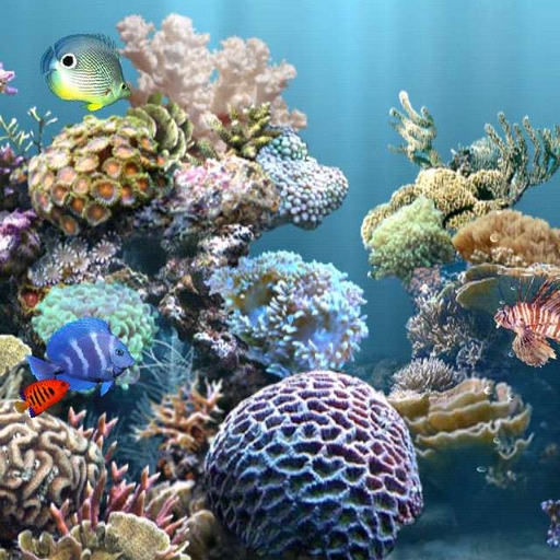 Pimp Your Shelf Icon Wallpapers Iphone Photo Video Apps