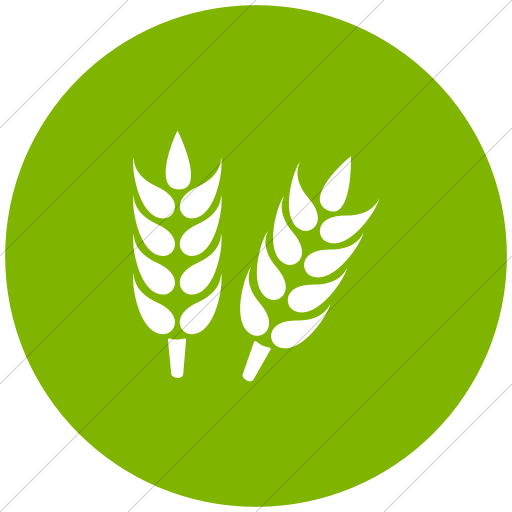 Flat Circle White On Green Ocha Humanitarians Other