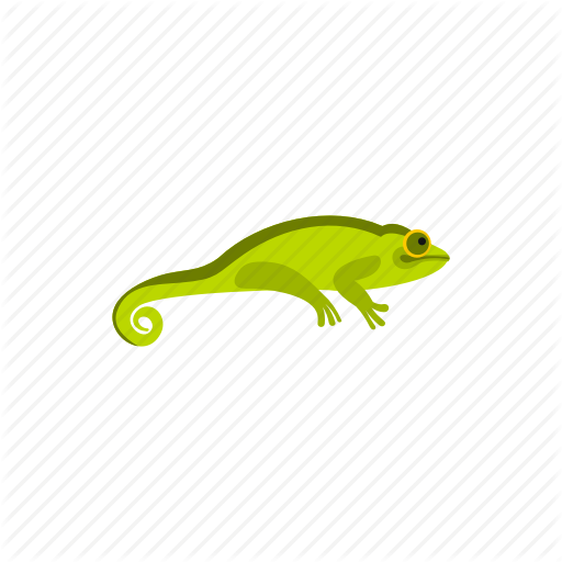 Amphibia, Amphibian, Chameleon, Reptile, Species, Water, Wild Icon