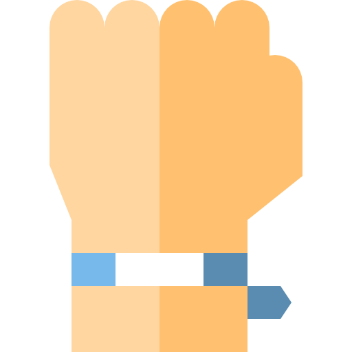 Bracelet, Luxury, Hand, Vip, Fist Icon