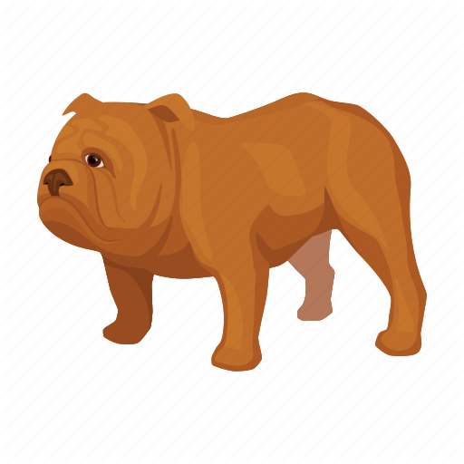 Animal, Breed, Bulldog, Dog, English Icon
