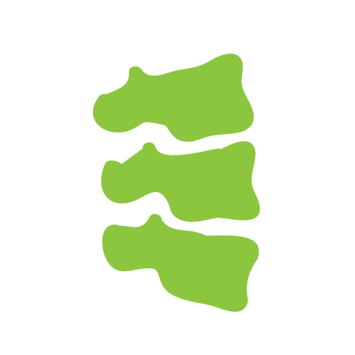 Vida Chiropractic Icon