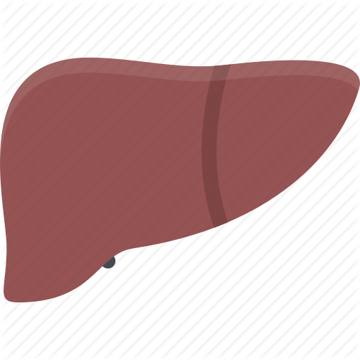 Clinic, Doctor, Hospital, Liver, Treatment Icon
