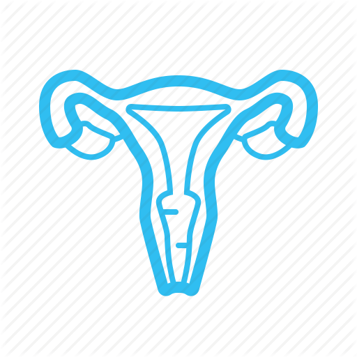 Obstetrics And Gynaecology Hospital Medicine Gynecology Png