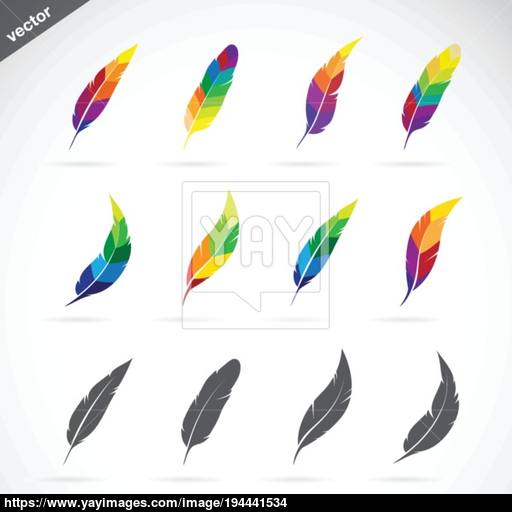 Vector Group Of Feathers Icon Design On White Background Easy E