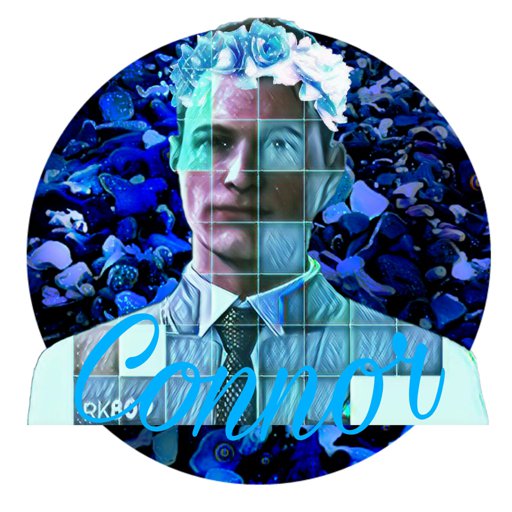 Connor Icon Detroitbecome Human Official Amino