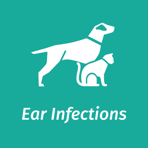 Information On Ear Infections