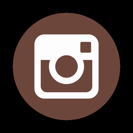 Instagram Icon Vector Lovely List Of Synonyms And Antonyms