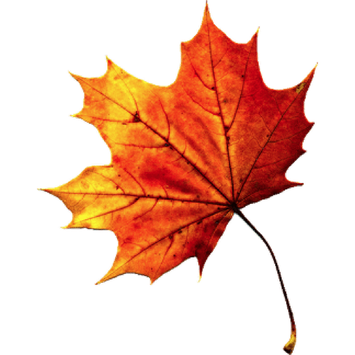 Download Free Fall Autumn Leaves Transparent Icon Favicon Freepngimg
