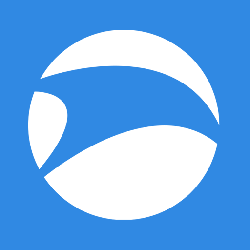 Browser Srware Iron Icon