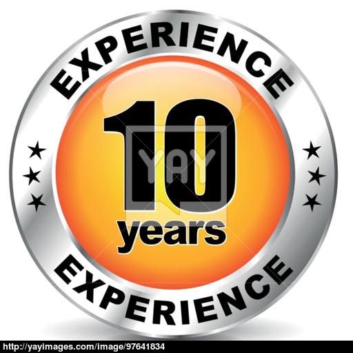 Vector Experience Icon Vector