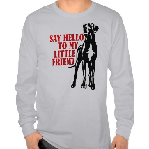 Say Hello To My Little Friend T Shirt Everything