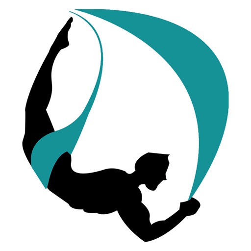 Omni Gym Site Icon Square Yoga Swings, Trapeze Stands Since