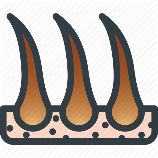 Beauty, Care, Cosmetics, Hair, Health Icon