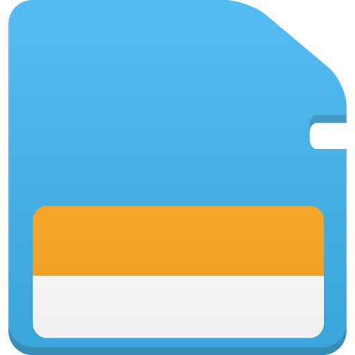 Memory Icon