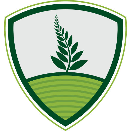 January Maidenhill Newton Mearns