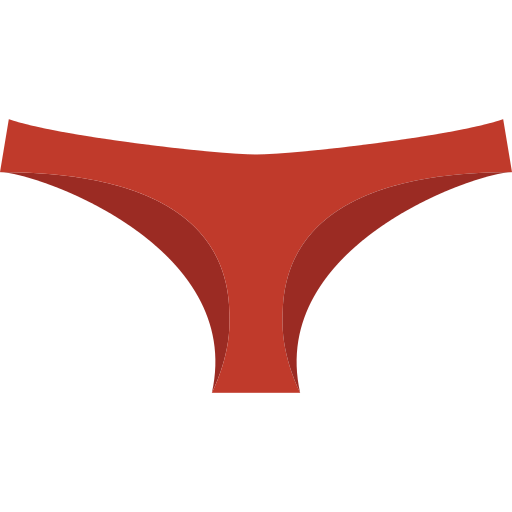 Panties Underwear Png Icon