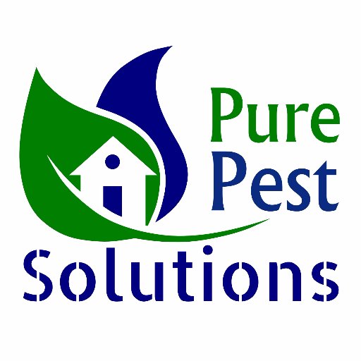 Pure Pest Solutions
