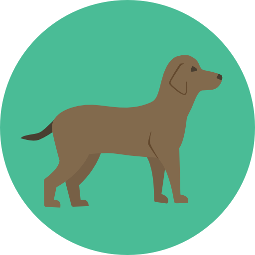Dog, Pet, Animals, Mammal, Animal Kingdom Icon