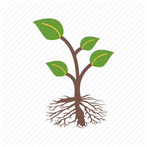 Plant, Root, Roots Icon