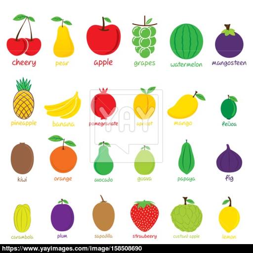 Different Fruit Icon Set Design Vector
