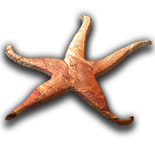 Beer, Wine, Cocktails, Food Sea Star Spirit House