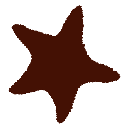 Sea Starfish Silhouette