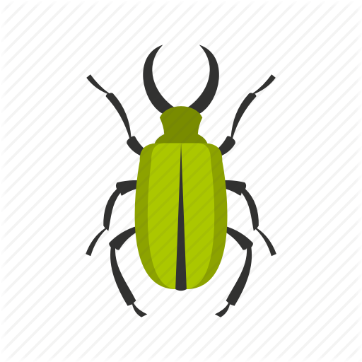 Floral, Flower, Fly, Green Bug, Spring, Tattoo, Tropical Icon