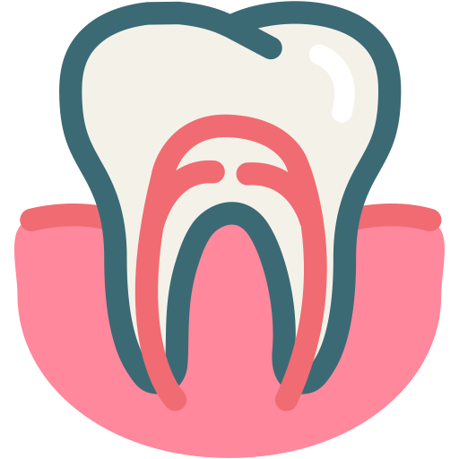 Dental, Dental Treatment, Dentist, Gum, Gums Tooth, Root Canal