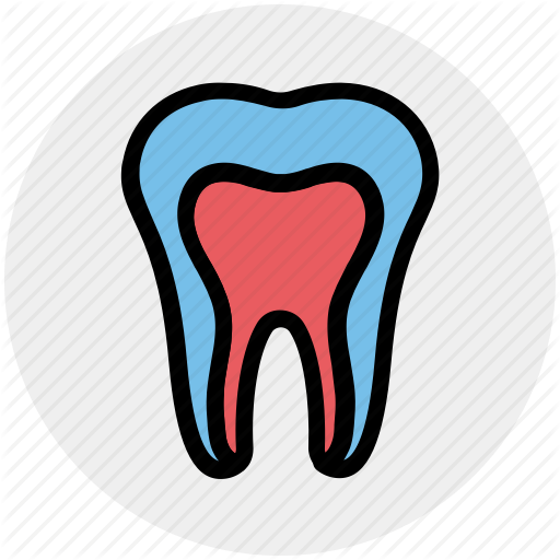 Dental, Dental Treatment, Dentist, Oral Health, Stomatology, Tooth