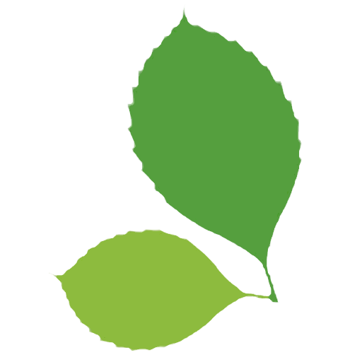 Elmhurst Icon Elmhurst Primary School