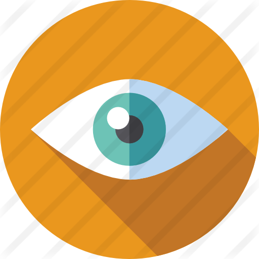 Vision